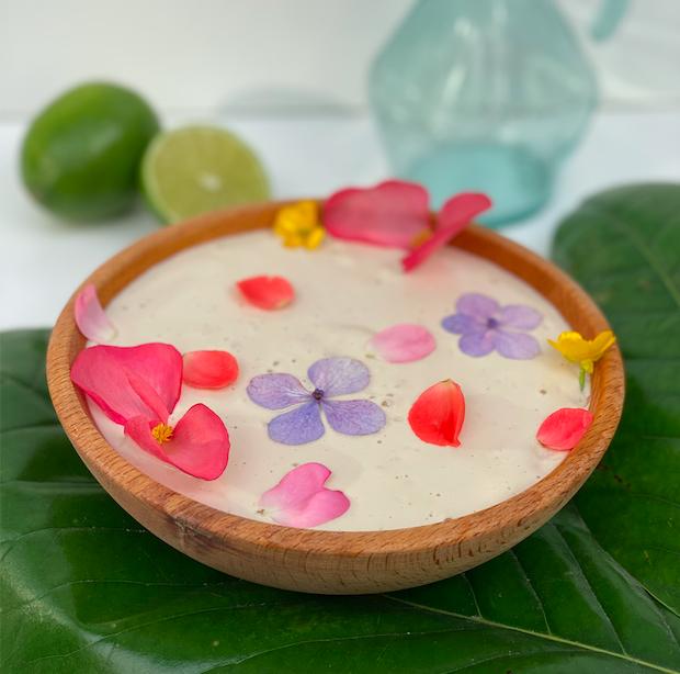 Cashew Yogurt Living Tree Foods