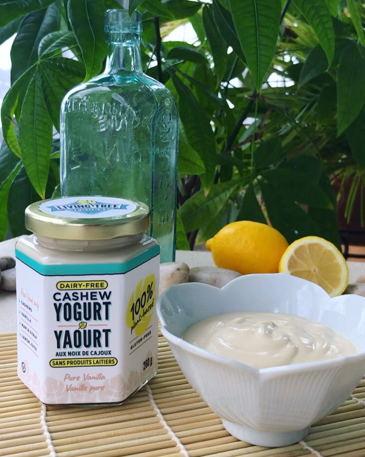 creamy pure vanilla vegan dairy-free cashew yogurt